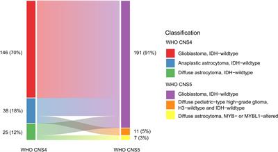 Histological and molecular glioblastoma, IDH-wildtype: a real-world landscape using the 2021 WHO classification of central nervous system tumors